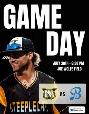 Image post by @steeplecats on Instagram