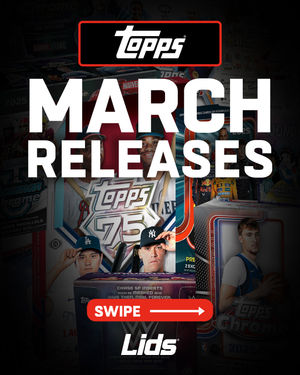 Image post by @lids on Instagram