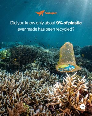 Image post by @sealegacy on Instagram