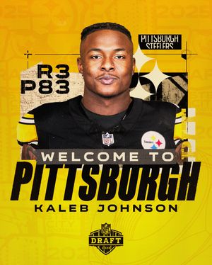 Image post by @steelers on Instagram