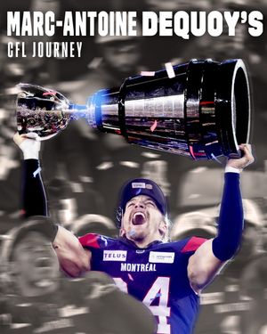 Image post by @cfl on Instagram