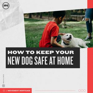 Image post by @MovementMtg on Twitter