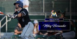 Image post by @NSU_Baseball on Twitter