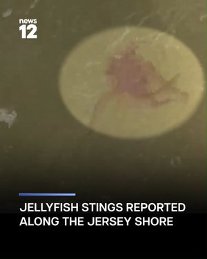 Image post by @news12nj on Instagram