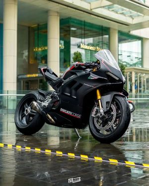 Image post by @panigalers on Instagram