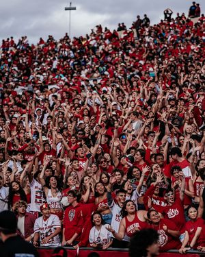 Image post by @unmlobofb on Instagram