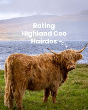 Image post by @visitscotland on Instagram