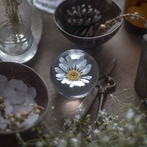 Image post by @leafyaffair on Instagram