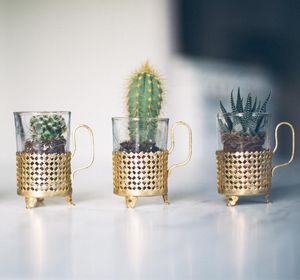 Image post by @mrkate on Instagram