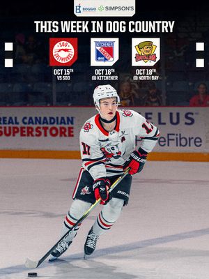 Image post by @ohlicedogs on Instagram