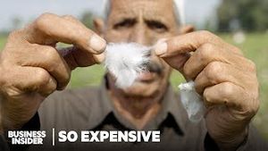 Video post by @businessinsider on YouTube