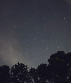 Image post by @brandonlarochelleproductions on Instagram