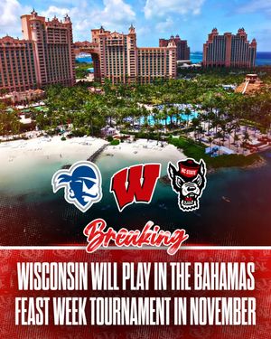 Image post by @rollbadgers on Instagram