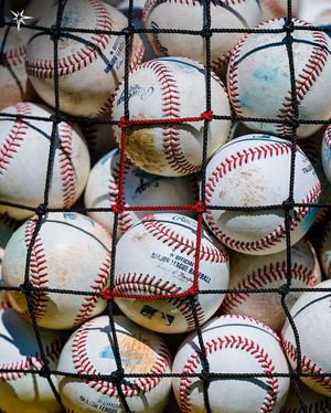 Image post by @raysbaseball on Instagram