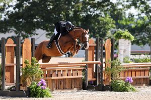 Image post by @kyhorseshows on Instagram