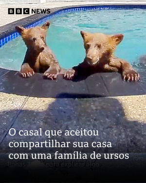 Image post by @bbcbrasil on Instagram