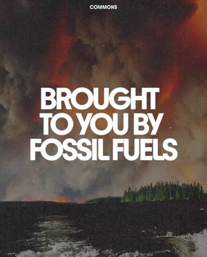 Image post by @commonsearth on Instagram