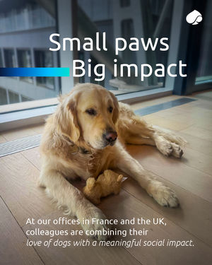 Image post by @capgemini on Instagram