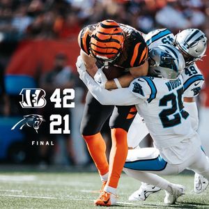 Image post by @panthers on Instagram