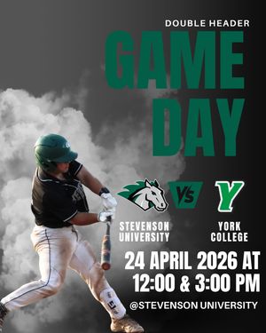 Image post by @stevensonbsb on Instagram