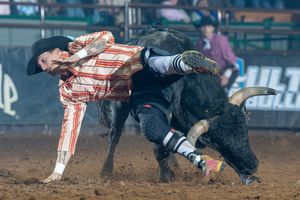 Image post by @ultimatebullfighters on Instagram