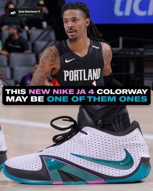 Image post by @soleretriever on Instagram