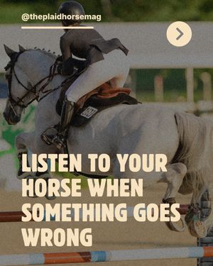 Image post by @theplaidhorsemag on Instagram