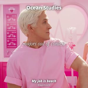 Image post by @aggiebound on Instagram