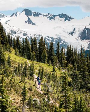 Image post by @whistlerblackcomb on Instagram