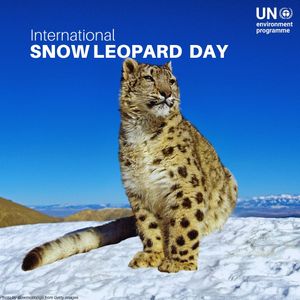 Image post by @unitednations on Instagram