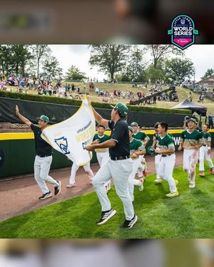 Image post by @littleleague on Instagram