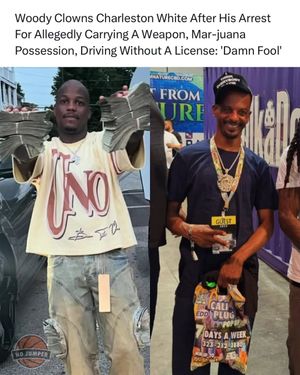 Image post by @nojumper on Instagram