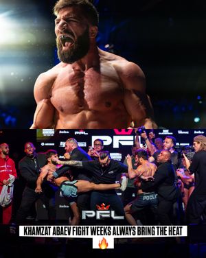 Image post by @pflmma on Instagram