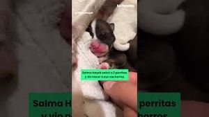 Video post by @laopinionla on YouTube