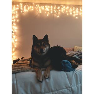 Image post by @steffybabay on Instagram