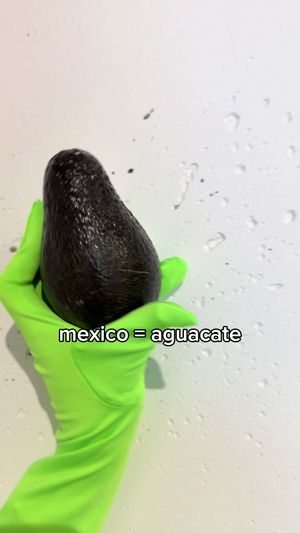 Video post by @duolingo on TikTok