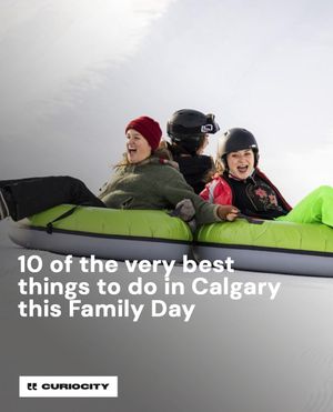 Image post by @curiocitycalgary on Instagram