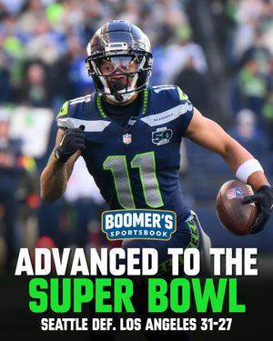 Image post by @betwithboomer on Instagram