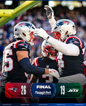 Image post by @patriots on Instagram