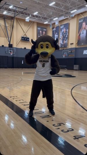 Video post by @chipthebuffalo on Facebook