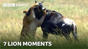 Video post by @bbcearth on YouTube