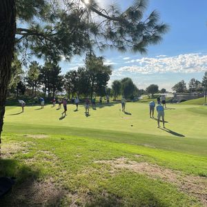 Image post by @evolvegolf on Twitter