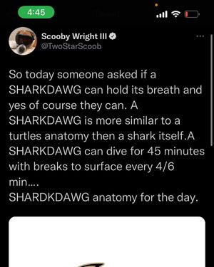Image post by @seventhroundscoob on Instagram