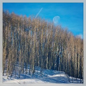 Image post by @skicrestedbutte on Instagram