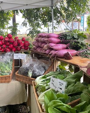 Image post by @thedukemetrocenter on Instagram