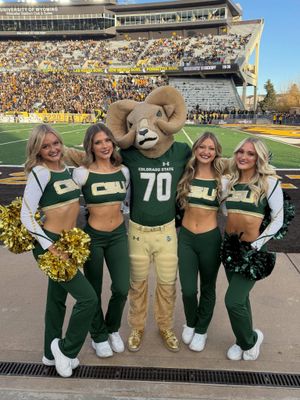 Image post by @csugoldenpoms on Instagram