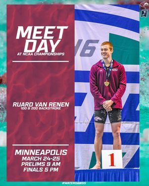Image post by @siu_swimdive on Instagram