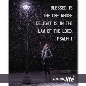 Image post by @familylifenypa on Instagram