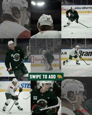 Image post by @minnesotawild on Instagram