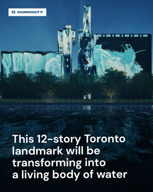 Image post by @curiocitytoronto on Instagram